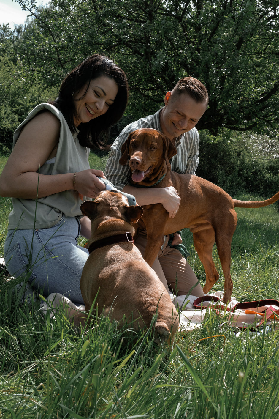 Ein Paar sitzt mit zwei Hunden auf einer Picknickdecke auf einer Wiese. Die Frau streichelt einen kleinen braunen Hund (vermutlich eine Französische Bulldogge), der Mann kniet daneben und schaut den größeren Hund (vermutlich ein Magyar Vizsla) an. Im Hintergrund sind Bäume und Wiesen zu sehen – eine entspannte Szene in der Natur.