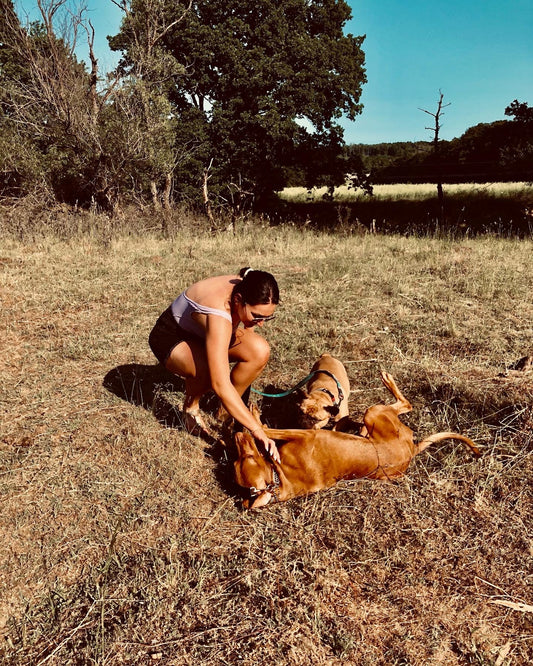 Eine Verbindung, die tiefer geht: Natur, Hunde und das pure Leben