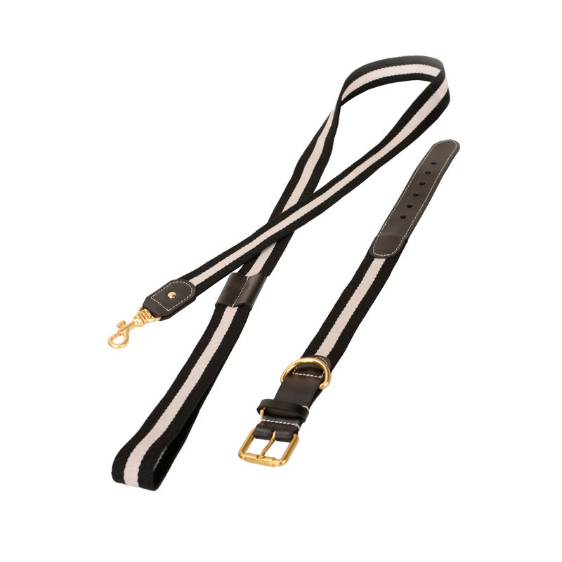 Collar &amp; Leash Leo