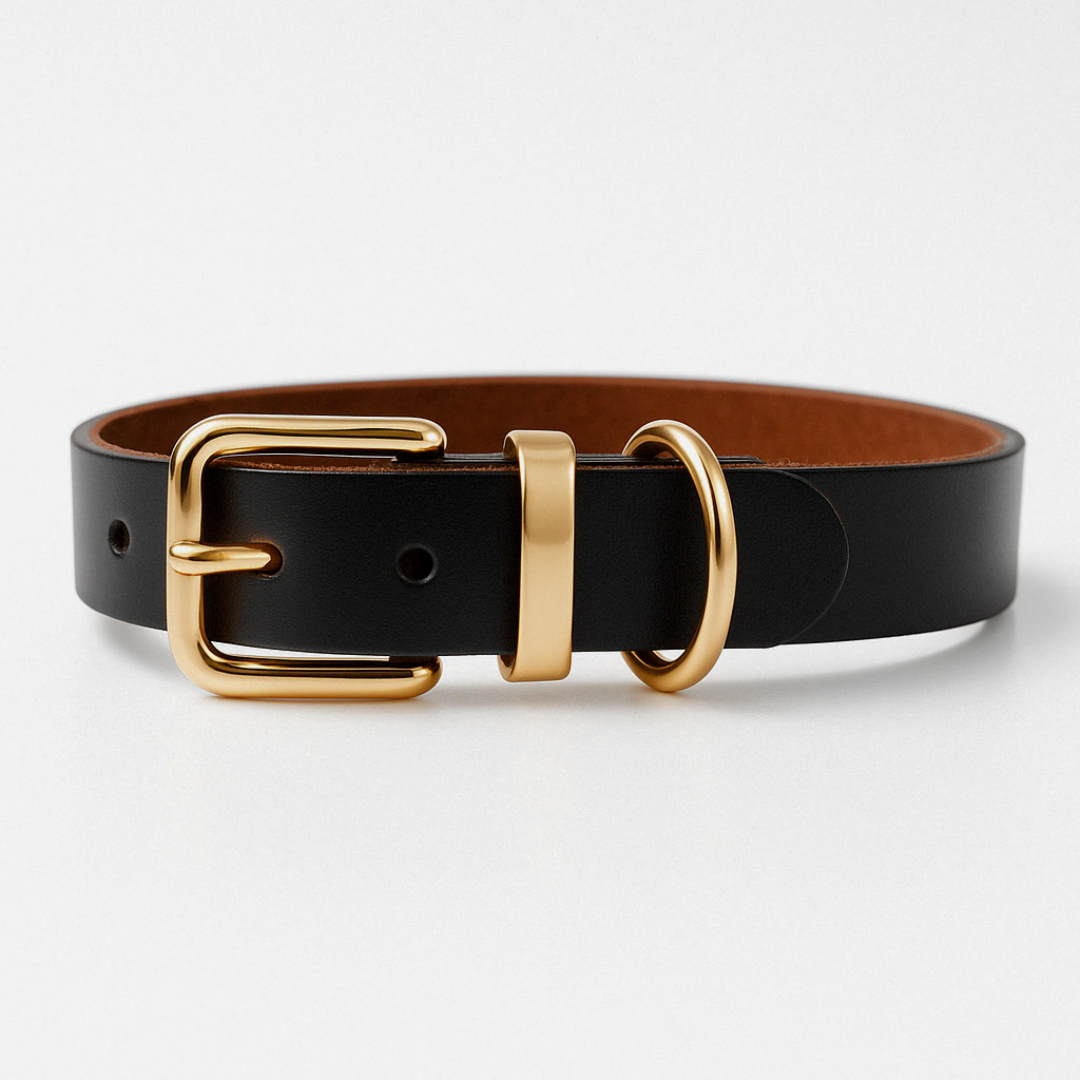 Detailansicht Hundehalsband aus echtem Leder in Braun mit goldener Schnalle