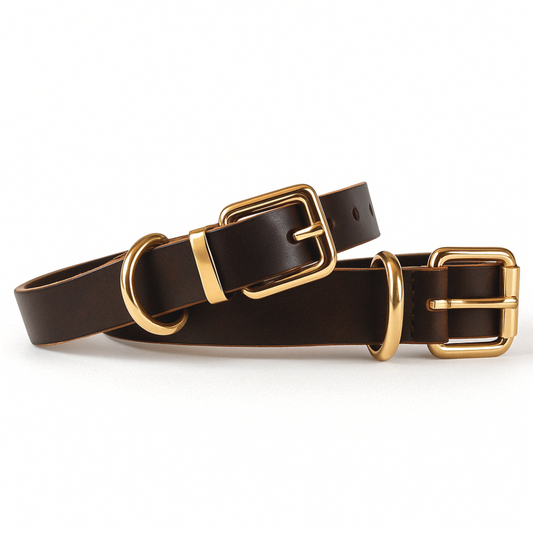“Friedrich” – genuine leather collar in brown