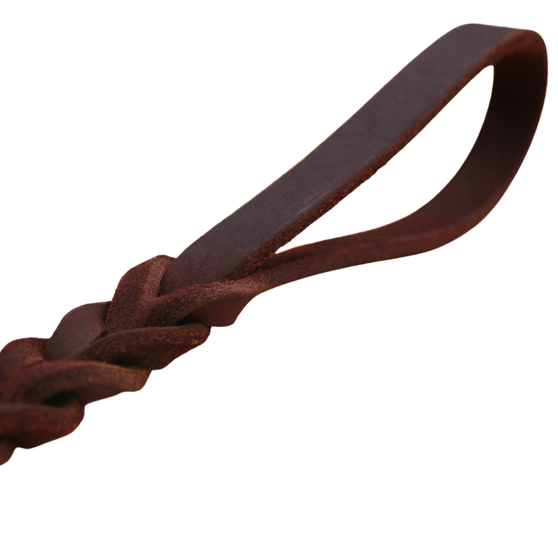 Short braided leather dog leash