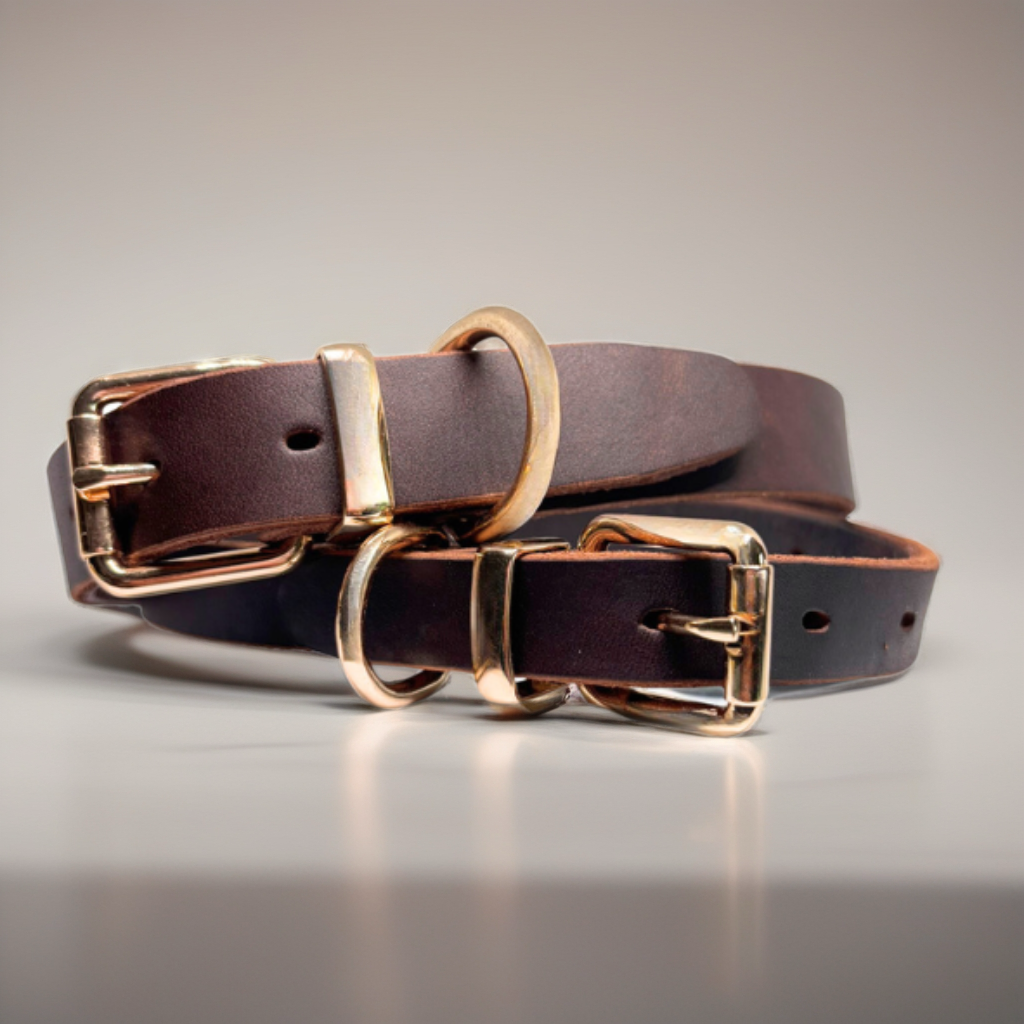„Friedrich“ – Echtleder-Halsband in Braun
