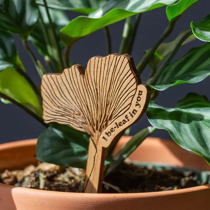 Schilder für den Blumentopf aus Holz