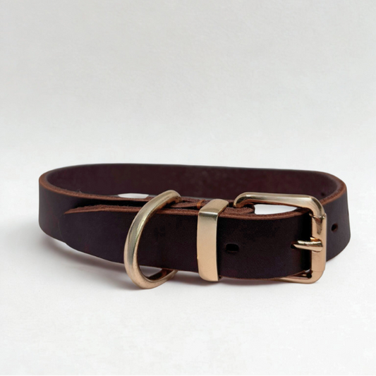 Elegantes Hundehalsband aus dunkelbraunem Echtleder mit goldener Metallschnalle und D-Ring, minimalistisch auf weißem Hintergrund präsentiert.