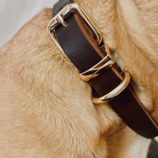 „Friedrich“ – Echtleder-Halsband in Braun