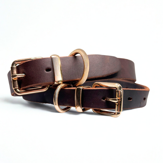 Handgefertigtes Hundehalsband aus dunkelbraunem Echtleder mit goldfarbenen Metallbeschlägen und D-Ring, hochwertig verarbeitet und stilvoll auf weißem Hintergrund arrangiert.
